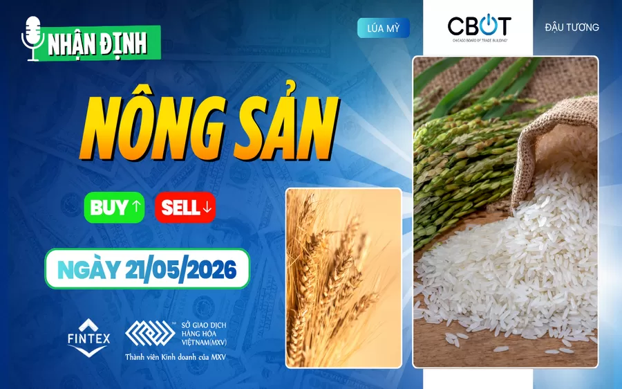 NHẬN ĐỊNH THỊ TRƯỜNG NÔNG SẢN NGÀY 21/05/2026